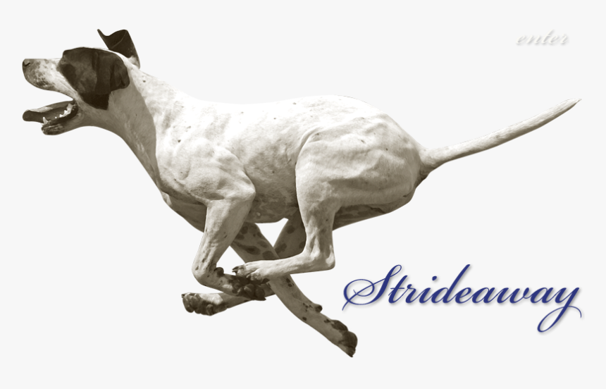 O B J E C T I V E - Running Dog Png Gif, Transparent Png