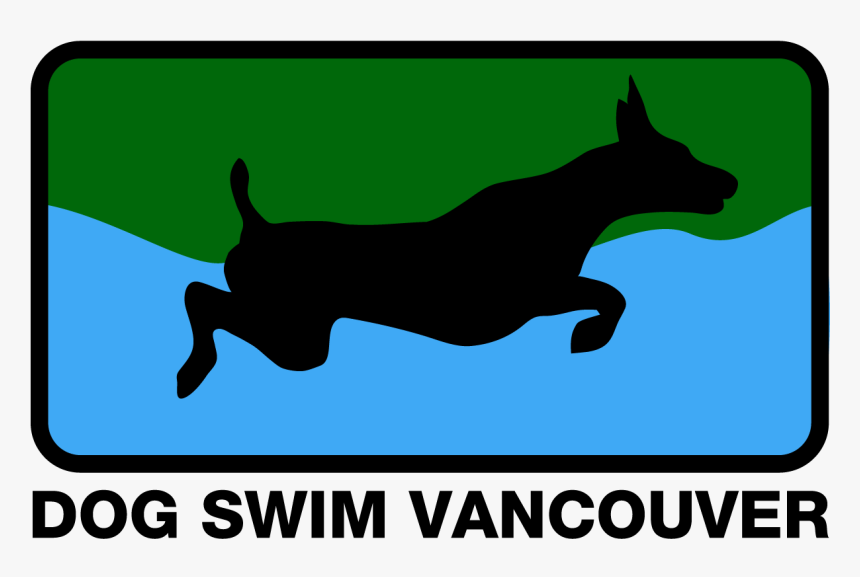 Dog Swim Vancouver - Dog Agility Vector, HD Png Download