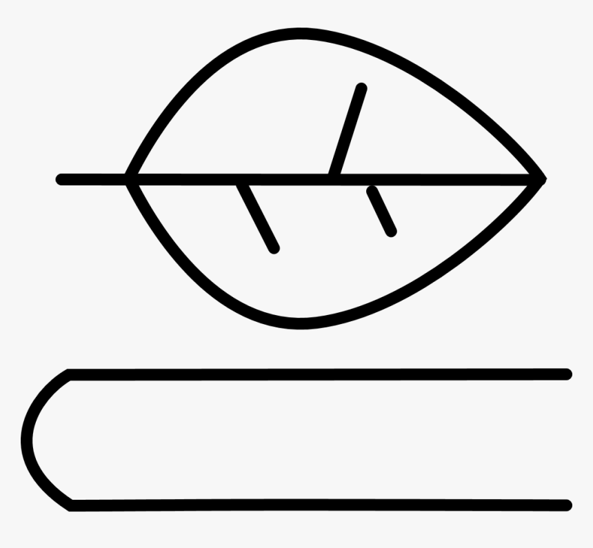 Teaching Icon - Draw A Spider Web Easy, HD Png Download