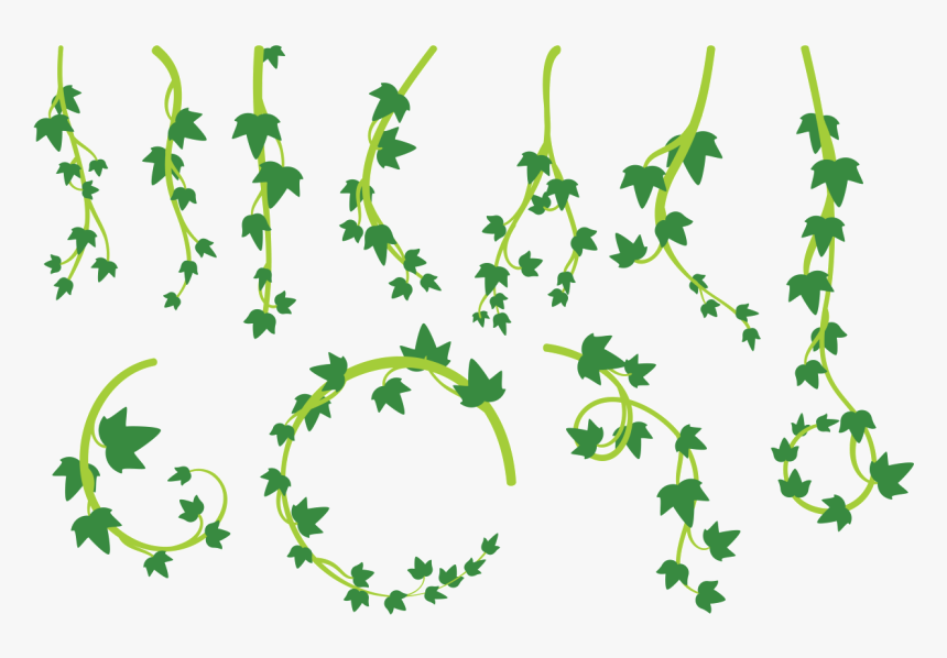 Liana Leaves Vector - Lianas Png, Transparent Png