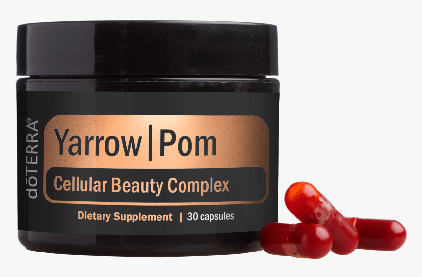 Box, HD Png Download