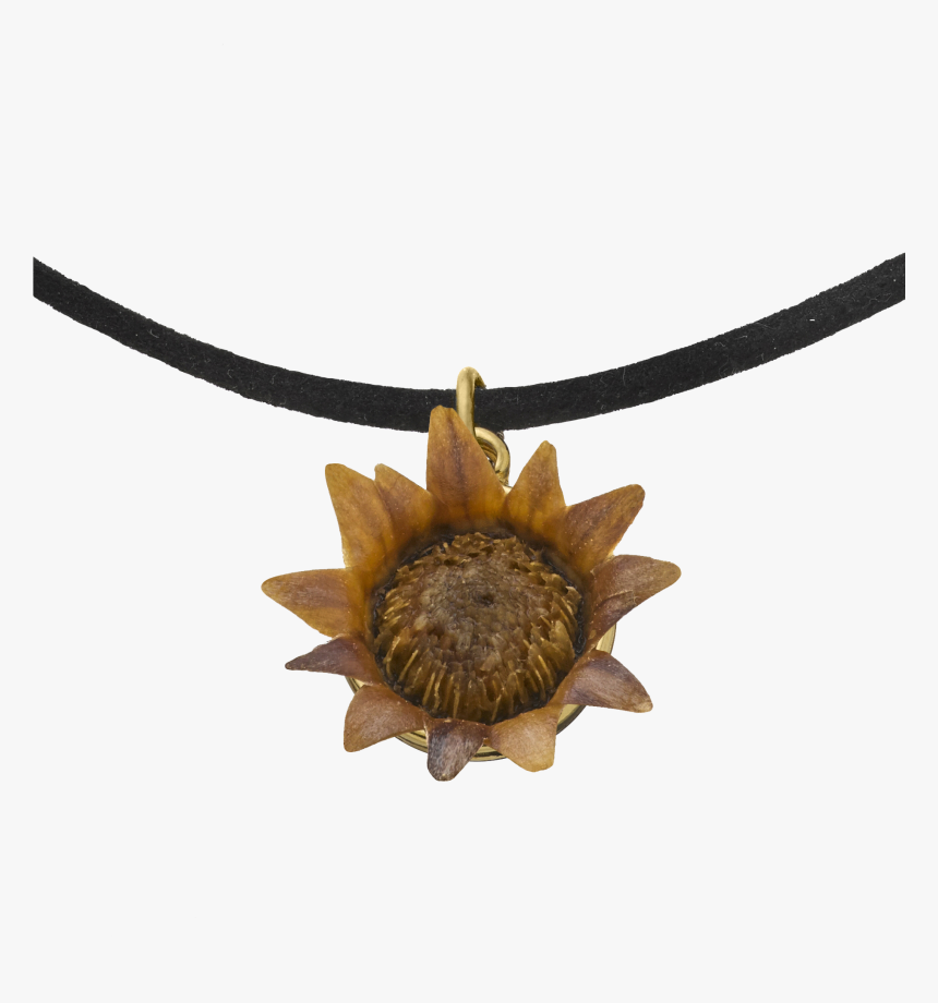 Choker Necklace With Blessing Flower - Locket, HD Png Download