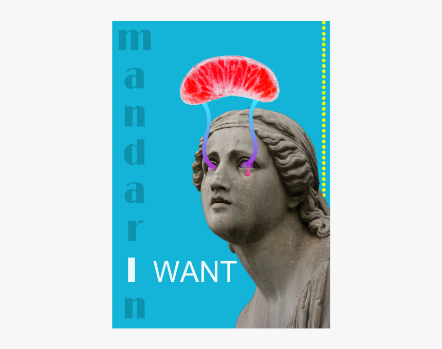 Mandarindr - Santa Please Stop Here, HD Png Download