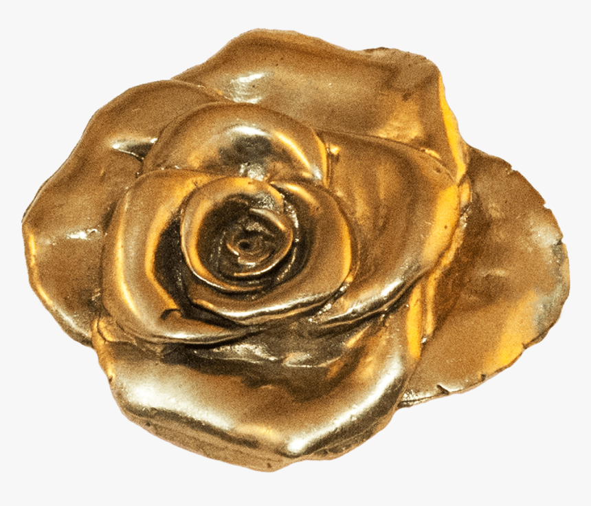 Garden Roses, HD Png Download