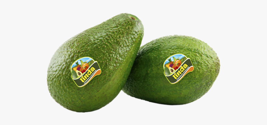 Avocado, HD Png Download