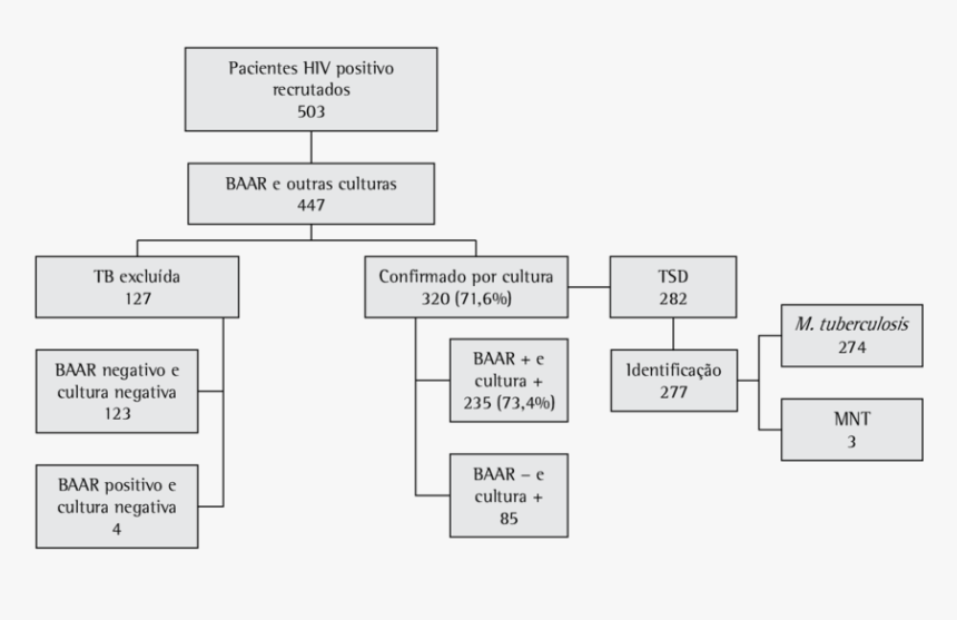 Diagram, HD Png Download