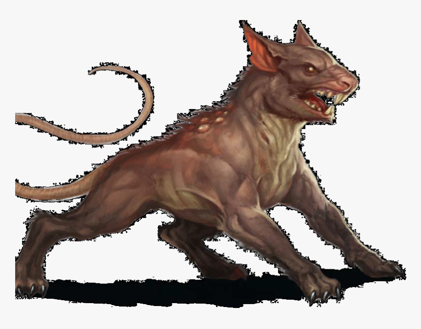 Dog, HD Png Download