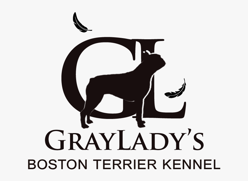 Graycliff Partners, HD Png Download