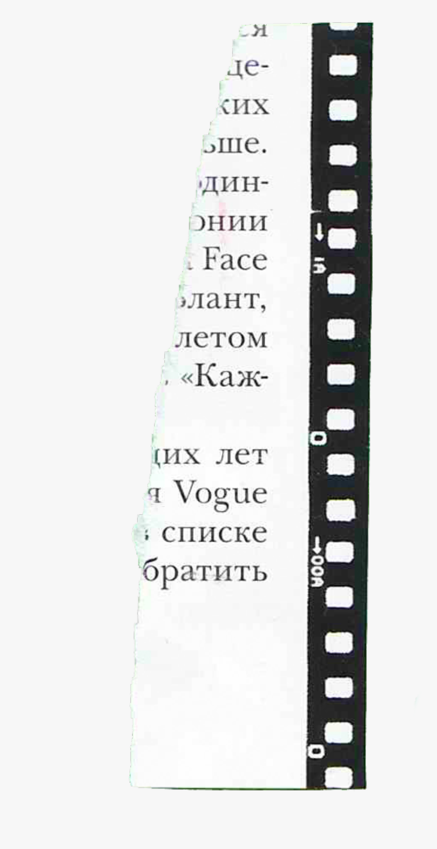 #tsvirukdi #tsviruk #paper #torn #rip #label #tattered - Ruler, HD Png ...