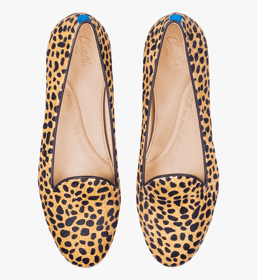 Ballet Flat, HD Png Download