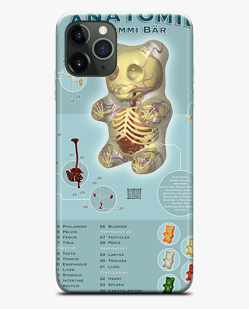 Data Mfp Src //cdn - Anatomy Gummy Bear Jason Freeny, HD Png Download