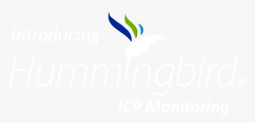Hummingbird Icp Monitoring - Graphic Design, HD Png Download