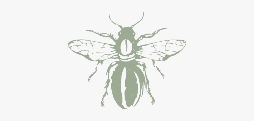 Buzz-beeblock1 - House Fly, HD Png Download