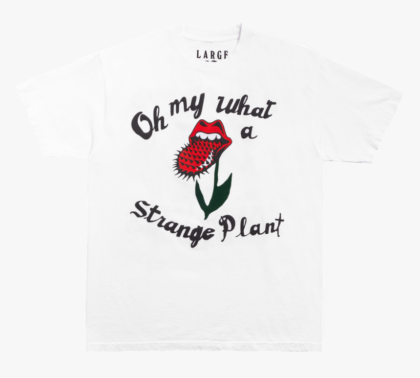 Unnamed 1 - Fontaines Dc T Shirt, HD Png Download