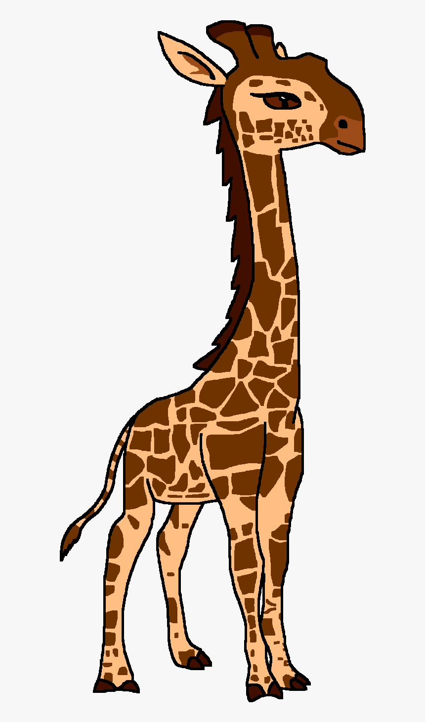 Giraffe, HD Png Download