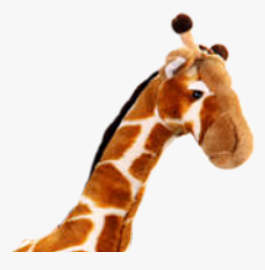 Tracy Beaker Wiki - Tracy Beaker Returns Jeff, HD Png Download