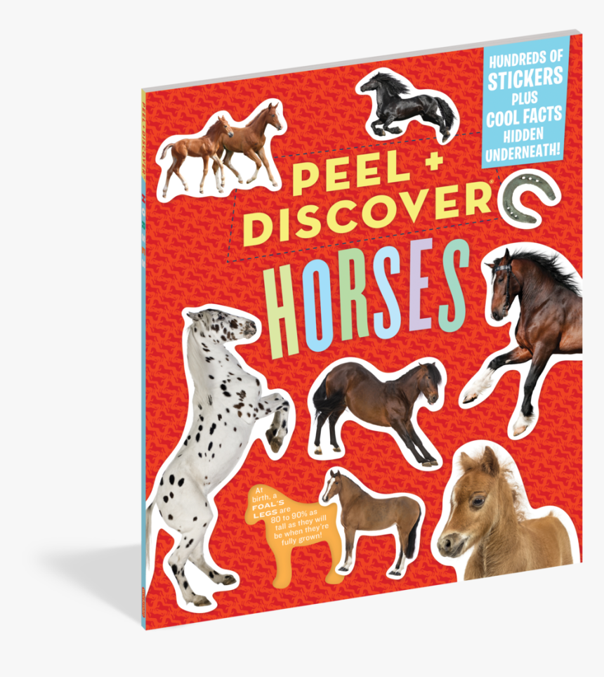 Peel Discover - Peel + Discover: Horses, HD Png Download
