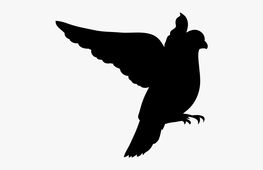 Clip Art Birdwatching Royalty-free Vector Graphics - Birds On A Branch, HD Png Download