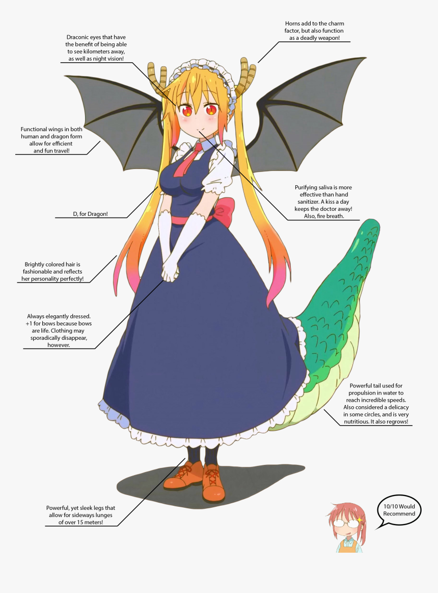 Let S Take A Look At Some Of Her Physical Attributes - Flying Dragon Maid Tohru, HD Png Download