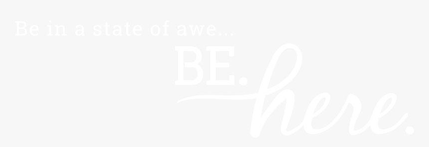Johns Hopkins Logo White, HD Png Download