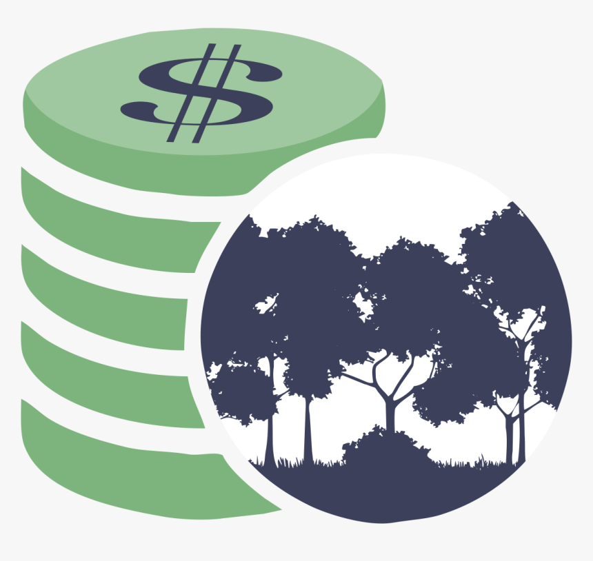 Tree, HD Png Download