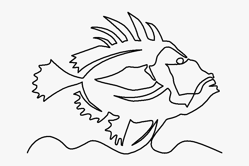 Blue Tang Fish Clipart Outline Clip Art Royalty Free - John Dory Fish Draw, HD Png Download