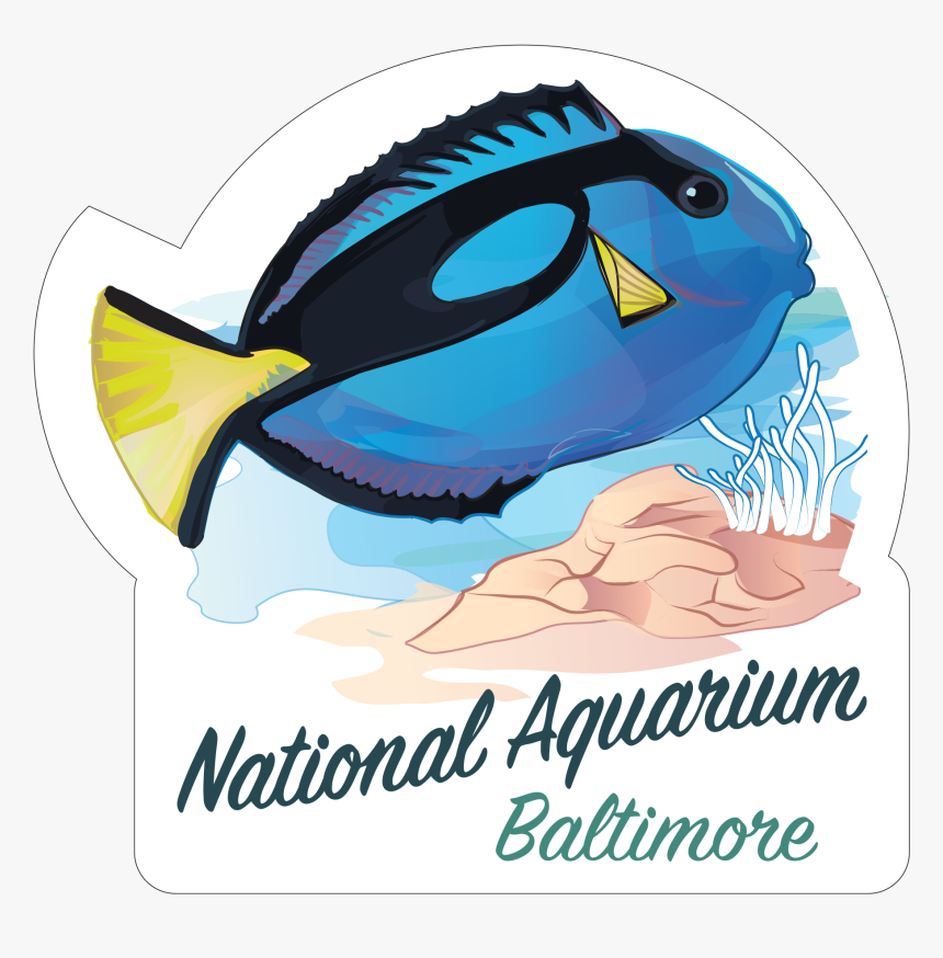 Blue Tang 
 Class Lazyload Lazyload Mirage Featured - Brewtoad, HD Png Download