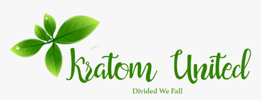 Kratom United - Calligraphy, HD Png Download