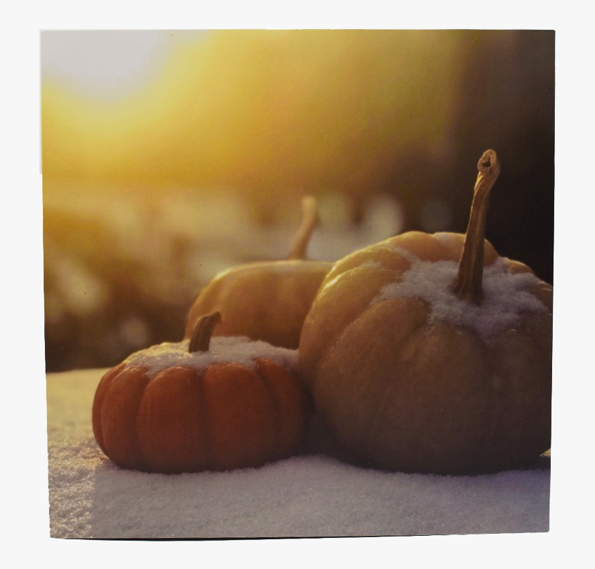 Snowy Pumpkins Art Print 
 Class - Pumpkin, HD Png Download