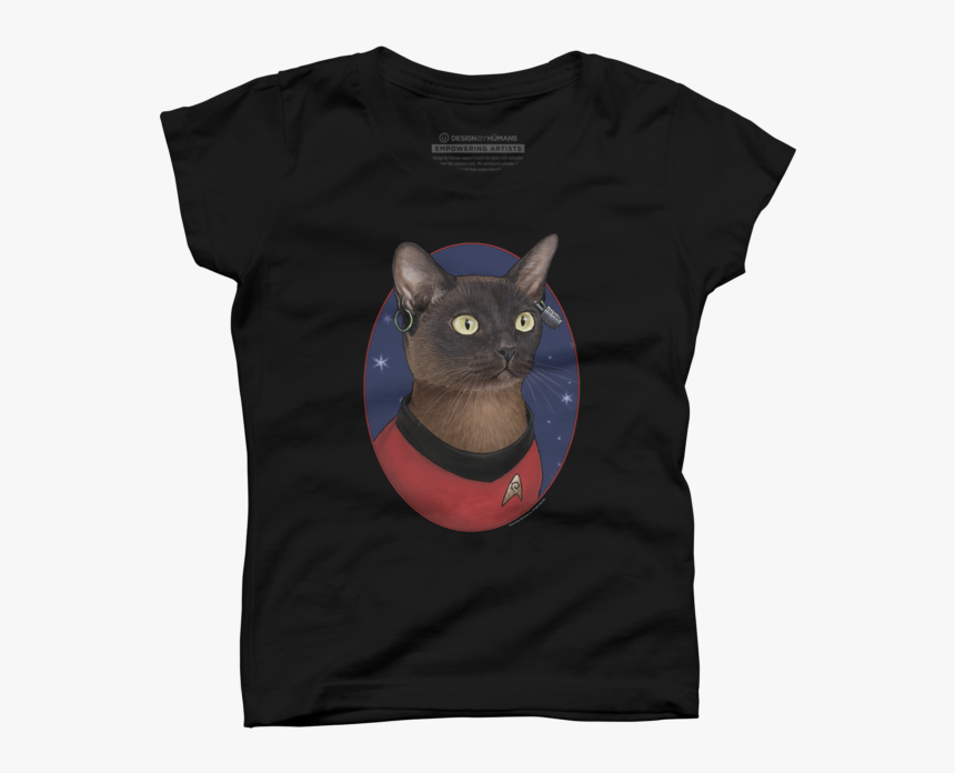 Cat, HD Png Download