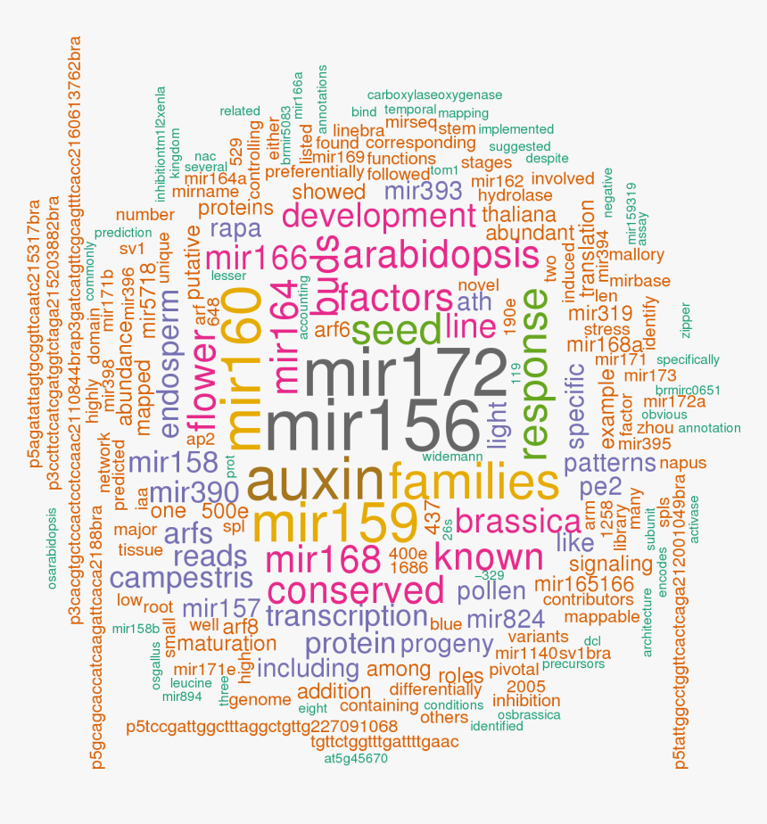 Stem Loop Sequence Bra Mir167b - Word Clouds In R, HD Png Download