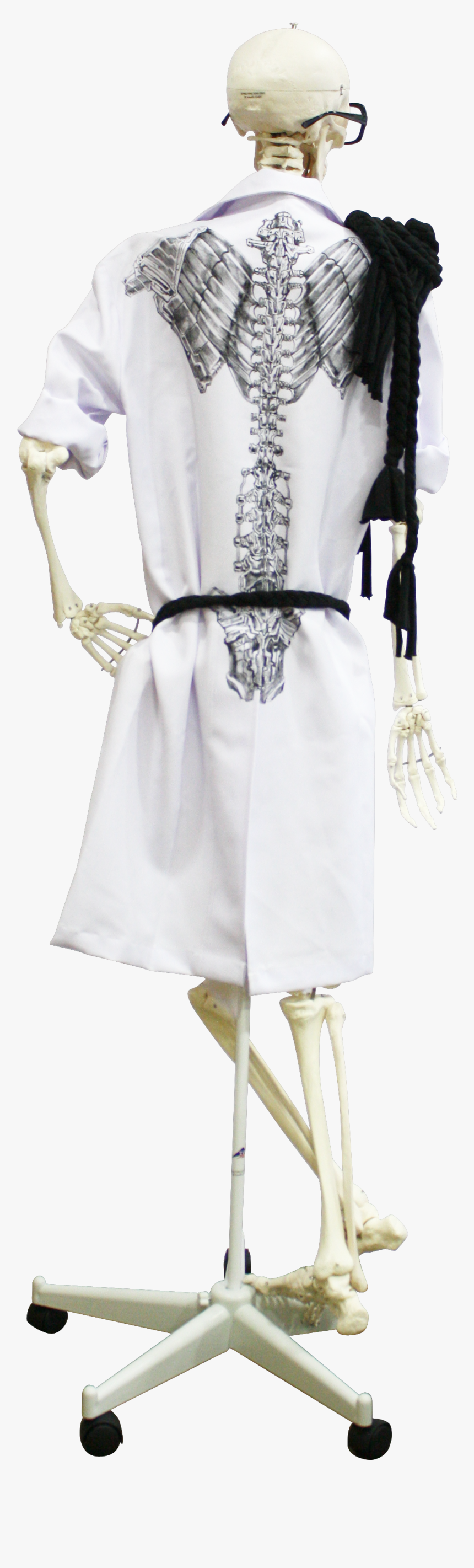 Robbie Amell Png, Transparent Png