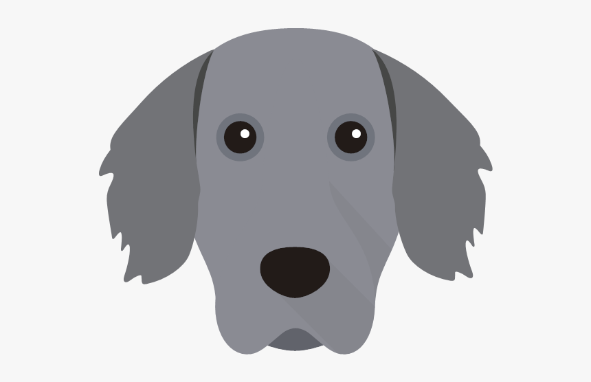 Kooikerhondje, HD Png Download