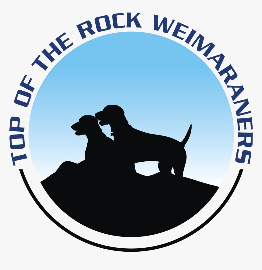 Top Of The Rock Weimaraners - Longdog, HD Png Download