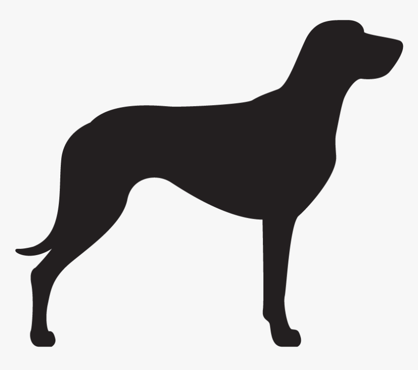 German Shorthaired Pointer Silhouette, HD Png Download