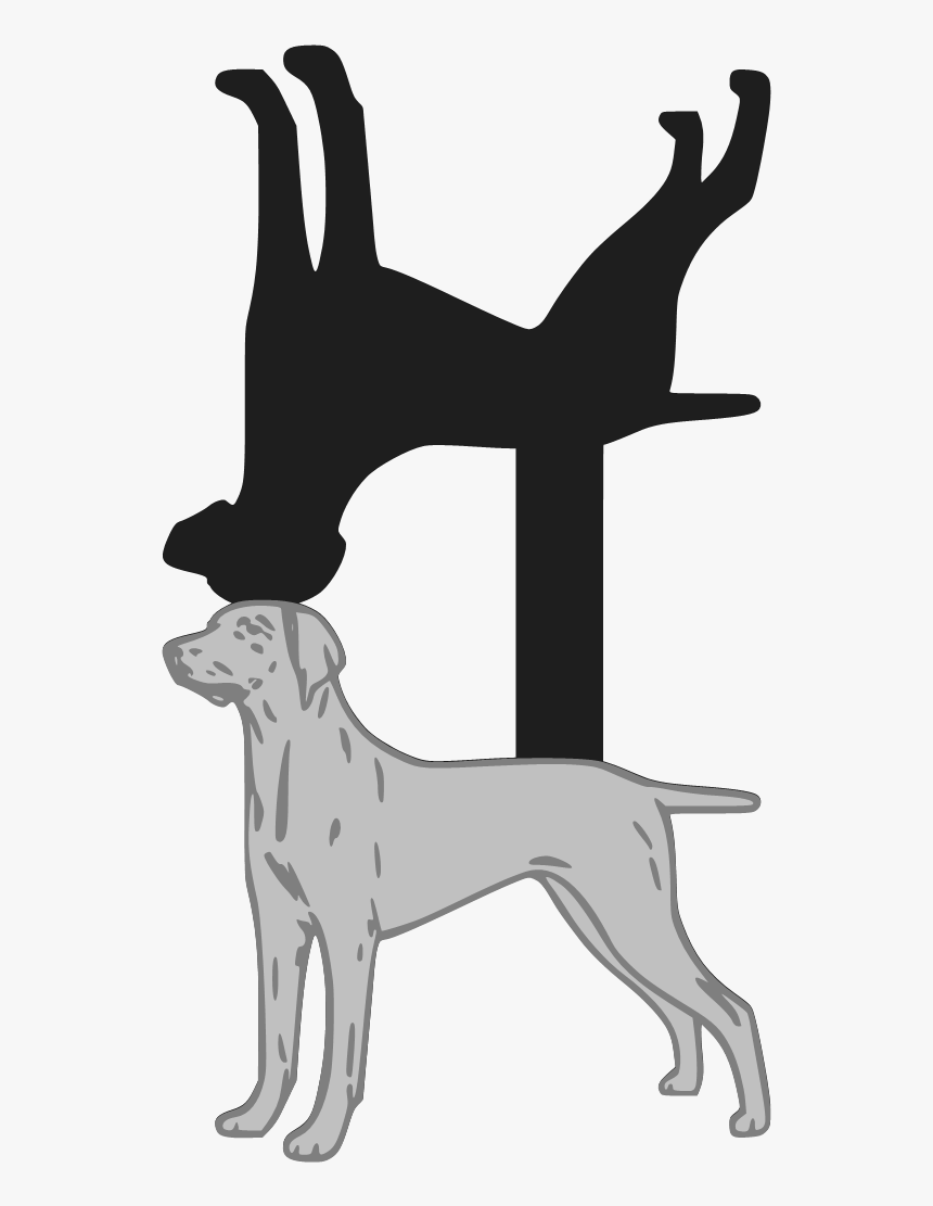 Dog Catches Something, HD Png Download