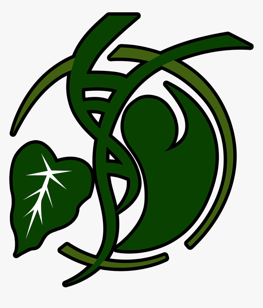 Health, HD Png Download