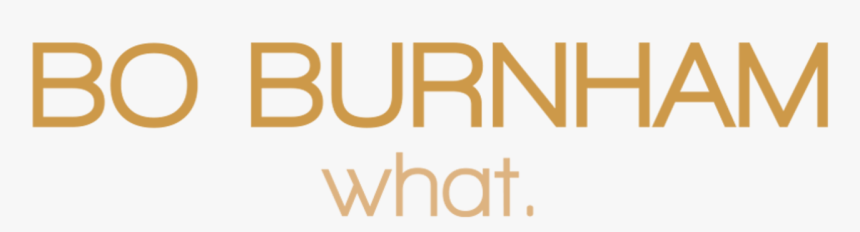 Bo Burnham - What - - Parallel, HD Png Download
