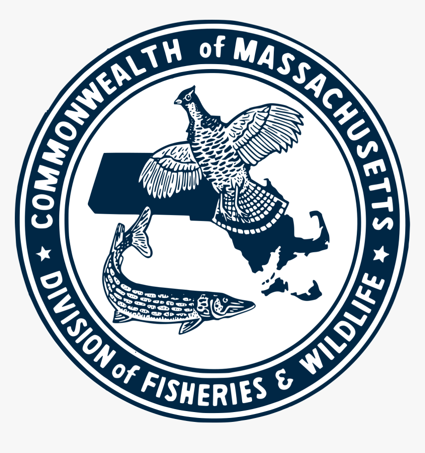 Division Of Fisheries And Wildlife Massachusetts Wikipedia - Emblem, HD Png Download