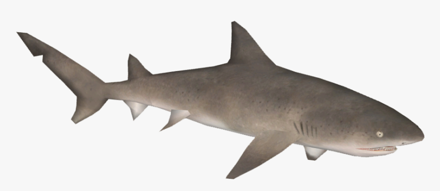 Hungry Shark Fanon Wiki - Sand Tiger Shark, HD Png Download