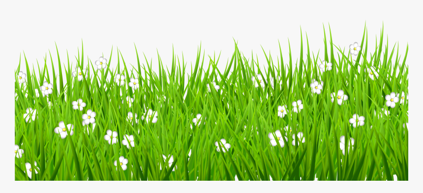 Png Stock Grass Background Clipart - Transparent Grass Flower Png, Png Download