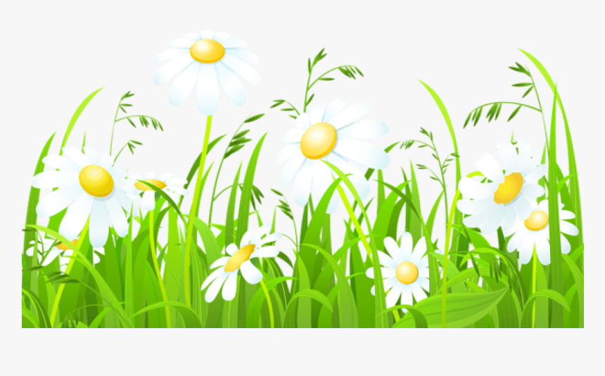 Free Png Download White Flowers And Grass Transparent - Grass Border Design Clipart, Png Download