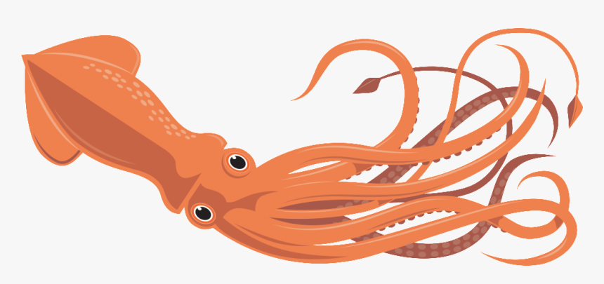 Squid Clipart, HD Png Download