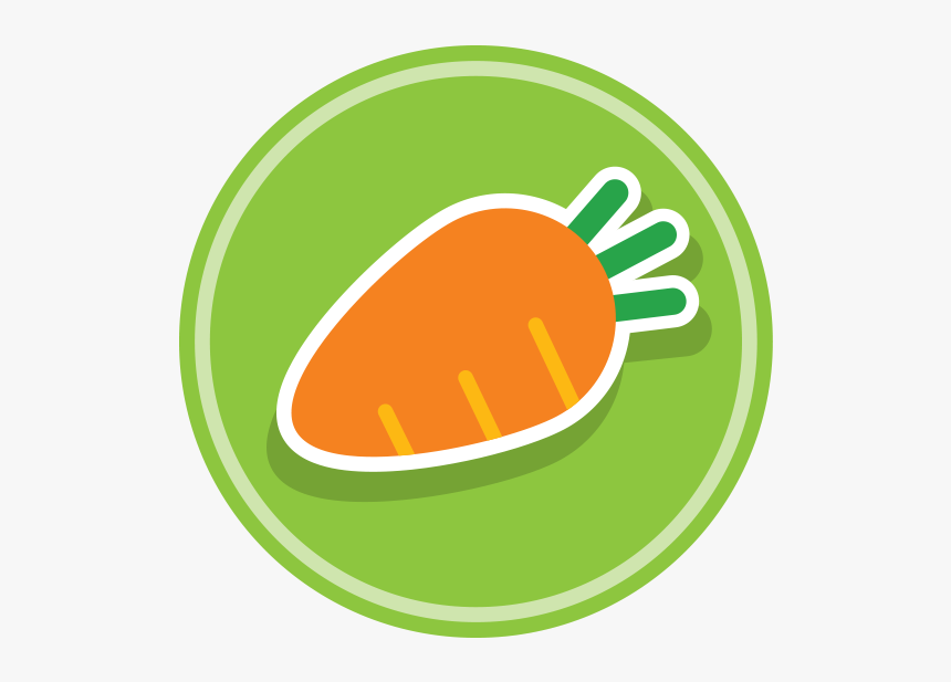 Dish, HD Png Download