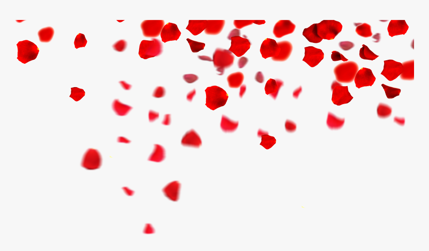 Petal If Download - Rose Petals Images Png, Transparent Png