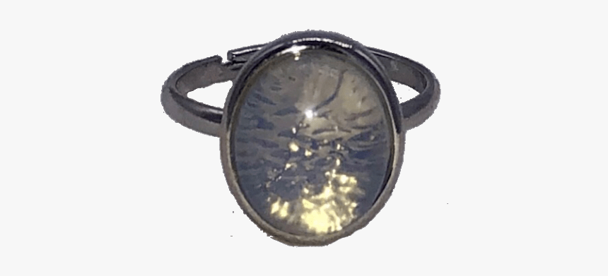 Ring, HD Png Download