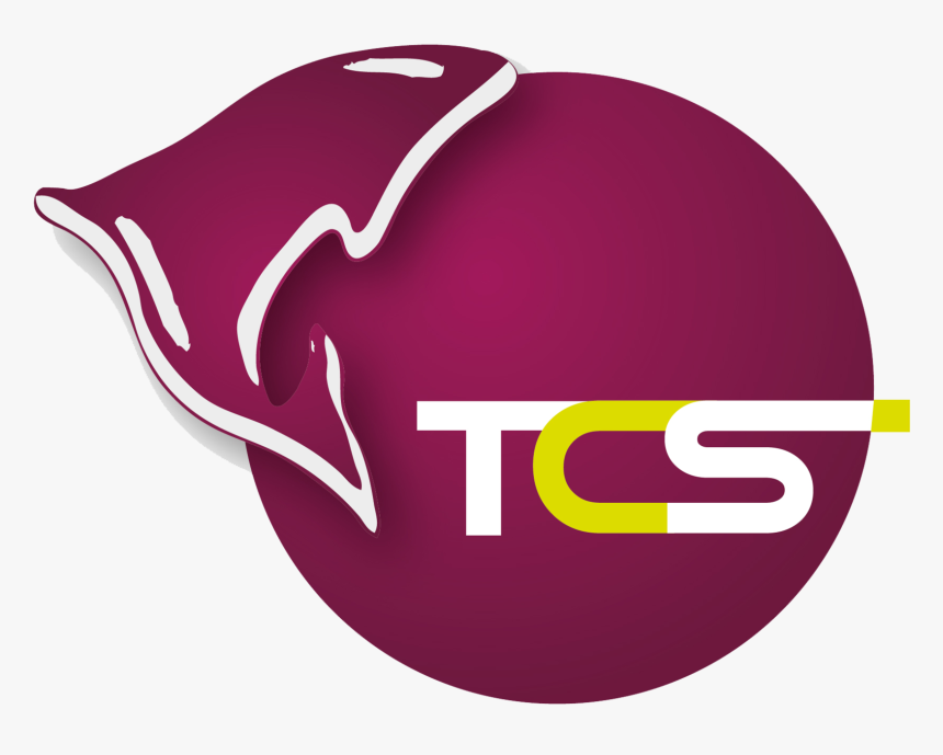 Логотип - Graphic Design, HD Png Download