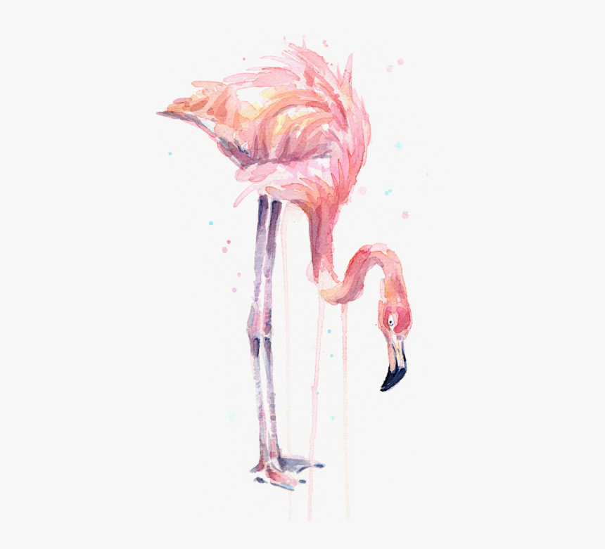 Drawing Flamingos Watercolor - Flamingo Painting Watercolor, HD Png Download