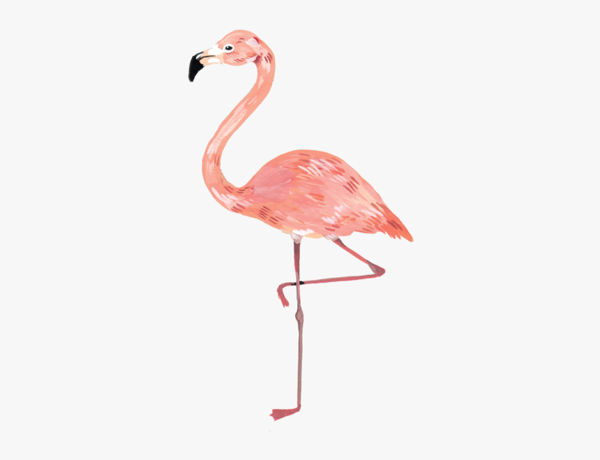 Flamingo With Crown Clipart, HD Png Download
