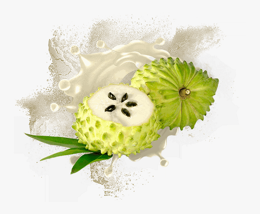 Odoo • Text And Image - Les Jus De Corossol, HD Png Download